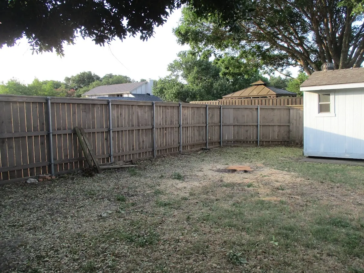Cleared yard after professional tree removal in Kingston